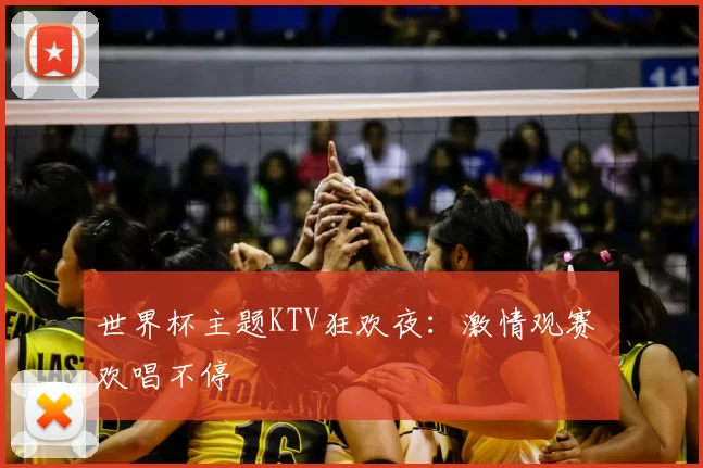 世界杯主题KTV狂欢夜：激情观赛 欢唱不停