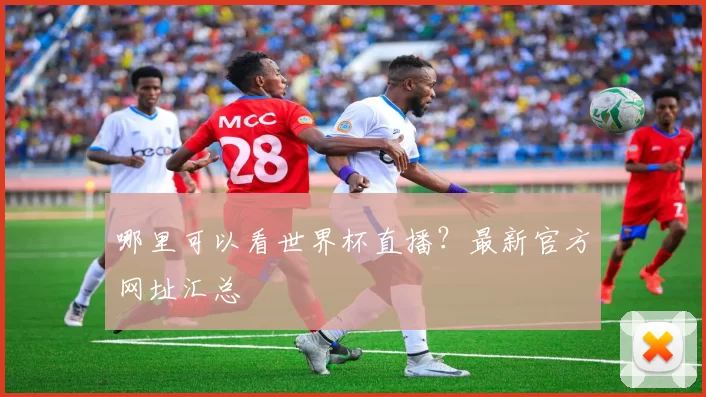 哪里可以看世界杯直播？最新官方网址汇总