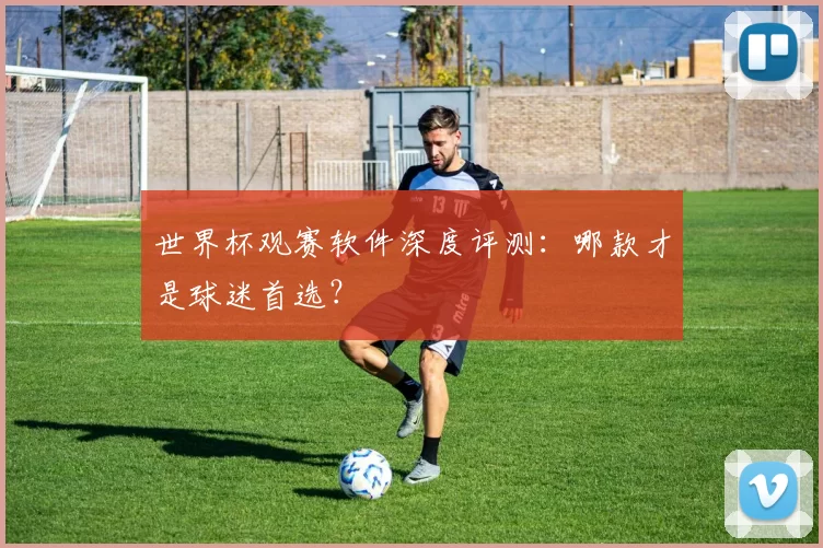 世界杯观赛软件深度评测：哪款才是球迷首选？