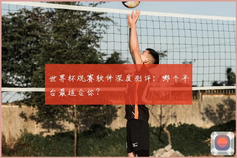 世界杯观赛软件深度测评：哪个平台最适合你？