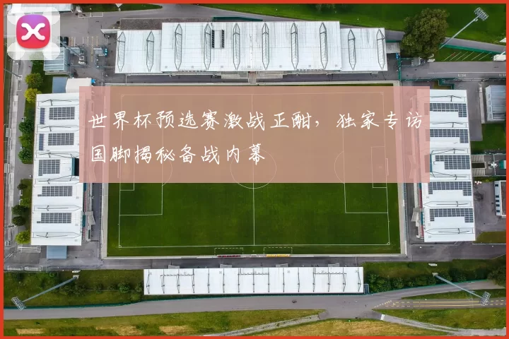 世界杯预选赛激战正酣，独家专访国脚揭秘备战内幕