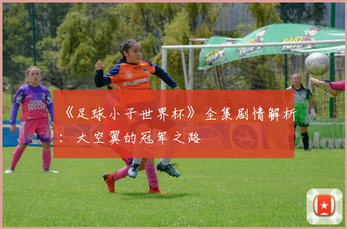 《足球小子世界杯》全集剧情解析：大空翼的冠军之路