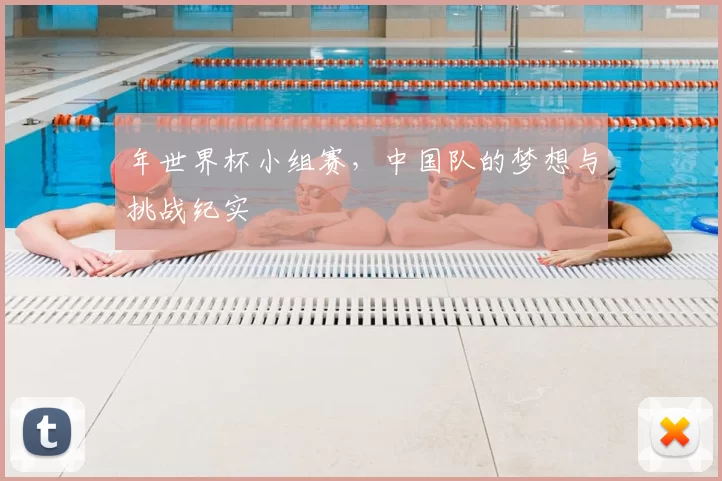 年世界杯小组赛，中国队的梦想与挑战纪实
