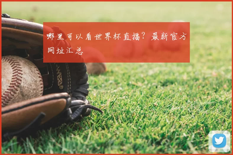 哪里可以看世界杯直播？最新官方网址汇总
