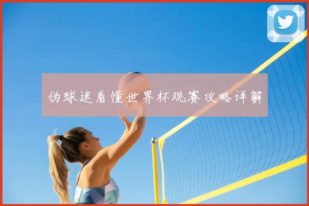 伪球迷看懂世界杯观赛攻略详解