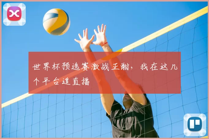 世界杯预选赛激战正酣，我在这几个平台追直播
