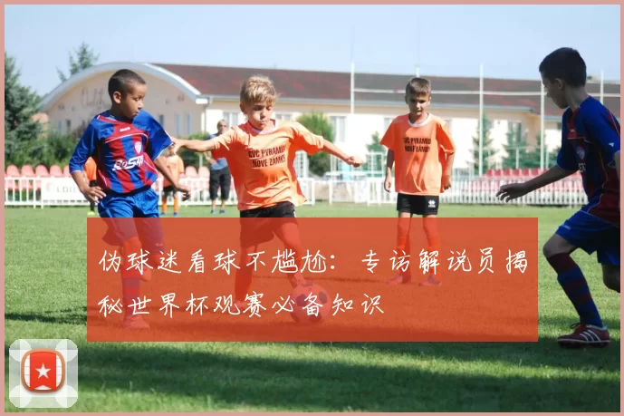 伪球迷看球不尴尬:专访解说员揭秘世界杯观赛必备知识
