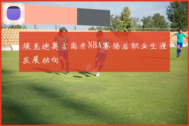 埃克迪奥古离开NBA赛场后职业生涯发展动向