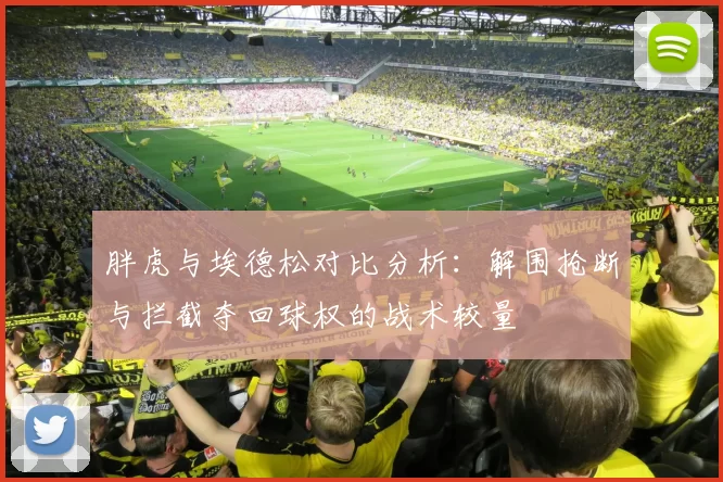 胖虎与埃德松对比分析：解围抢断与拦截夺回球权的战术较量