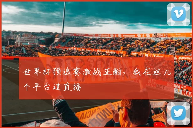世界杯预选赛激战正酣，我在这几个平台追直播