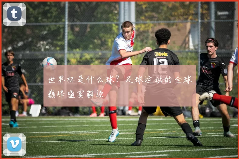世界杯是什么球？足球运动的全球巅峰盛宴解读