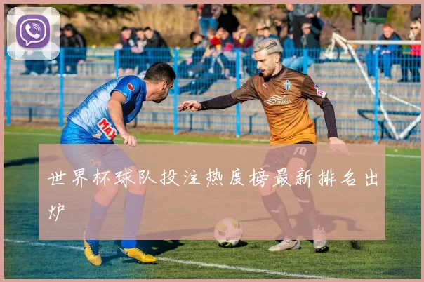 世界杯球队投注热度榜最新排名出炉