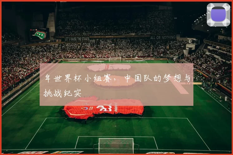 年世界杯小组赛，中国队的梦想与挑战纪实