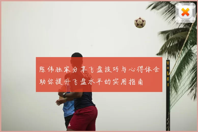 陈伟独家分享飞盘技巧与心得体会助你提升飞盘水平的实用指南