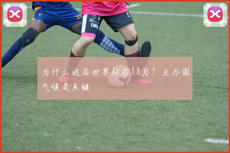 为什么这届世界杯在11月？主办国气候是关键